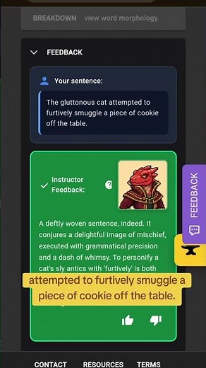 master the word 'furtive' with wordforge #vocabulary #cat #cutecat
