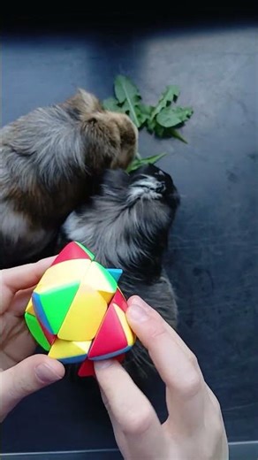 Mastermorphix: Solving different hard shape mods of the 3 by 3 Part 1