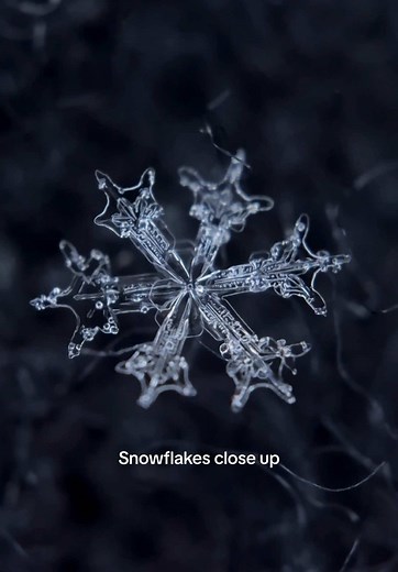 Snowflakes Up Close: Stunning Microscopic Details