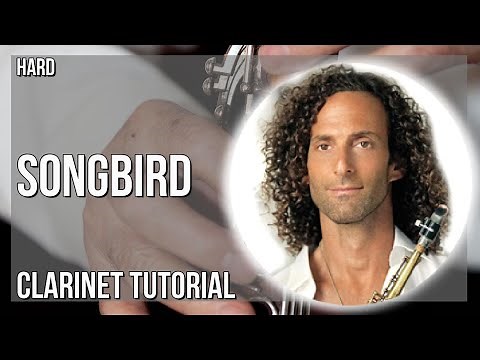 How to play Songbird by Kenny G on Clarinet (Tutorial)
