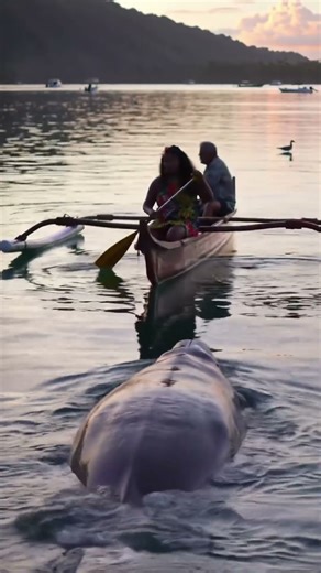 The sound this dolphin makes is unreal! #animalsounds
