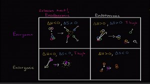 Endergonic, exergonic, exothermic, and endothermic