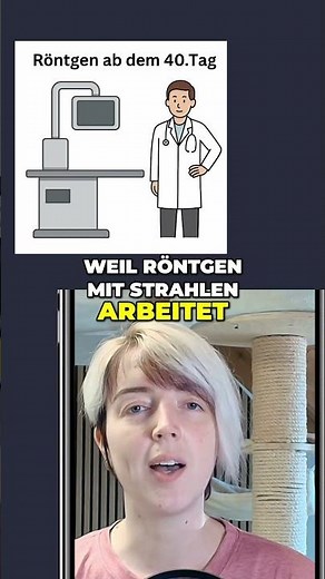 Ist Röntgen vor der Geburt gefährlich für Katzen?