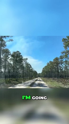 Free Camping Near Tallahassee Florida is a our latest free camping video located on public land near Tallahassee Florida. This free camping location is big rig accessible and includes some amenities. Watch our full-length video for our tour of this free camping opportunity near Tallahassee Florida. | Living Our Dream Now