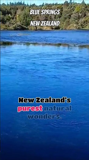 Blue Springs of New Zealand | Hidden Natural Paradise