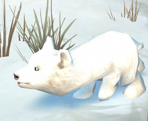 Tome of Polymorph: Polar Bear Cub