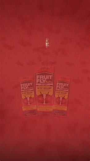 Keeping your home tidy and your produce safe has never been easier. With its specially designed bait and safe trapping mechanism, controlling fruit flies is simple, effective, and hassle-free. Thanks to Fruit Fly Bar Pro, you can finally enjoy fresh fruits without worry, all while keeping your kitchen clean and protected. #pestcontrol #fruitflies #homehacks #kitchenhacks #cleaningtips #bugfree #diycleaning #pestprevention #insectcontrol #homeprotection | Fruit Fly BarPro