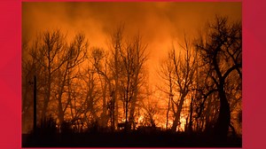 Detailed maps of wildfires may lead to better understanding of fire behavior