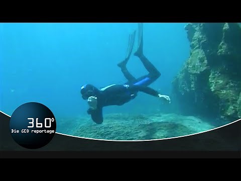 Apnoe-Taucher - Im Tiefenrausch