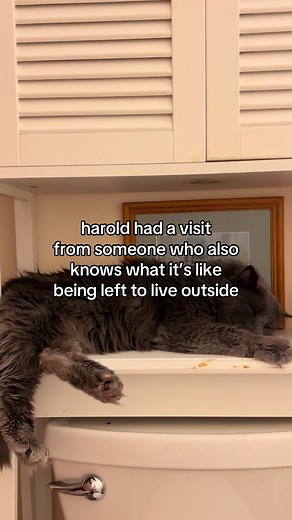 Harold's Heartwarming Breakthrough with Granny Lu