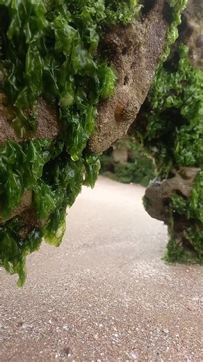 من فضلك دعم قليل #غزة