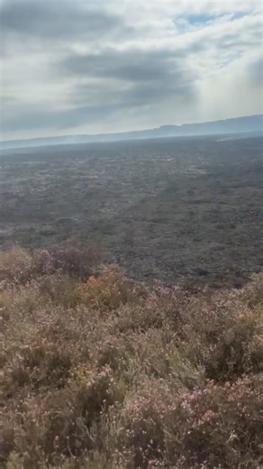 North Yorkshire Weather Updates on Reels