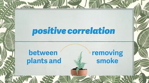 7 Best Indoor Plants for Asthma, Allergy Sufferers, and Air Pollution