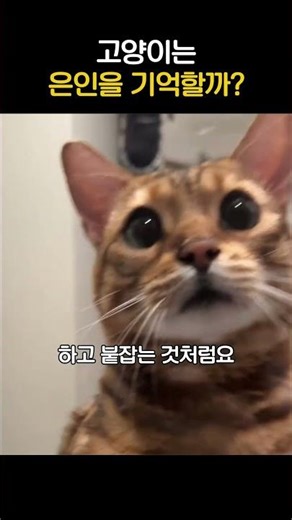 The reason the cat grabbed me with its front paws the moment I was about to turn around