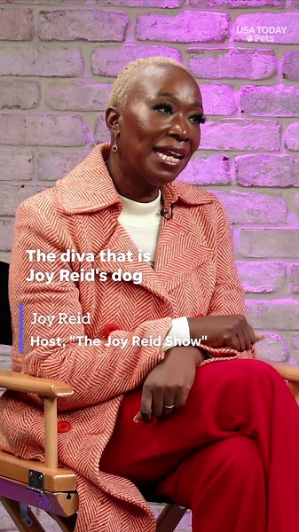 Joy Reid’s dog Nala Beyoncé Reid lives like a pampered queen