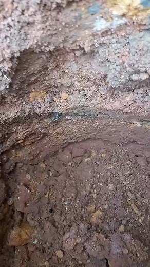 Exploring Natural Textures: Hand and Soil Interaction