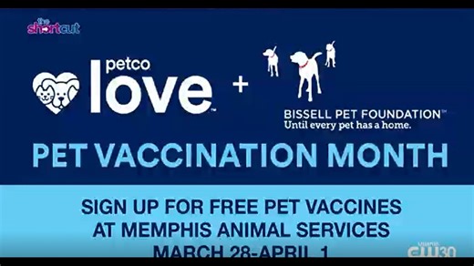 Free pet vaccines coming your way at Memphis Animal Services (MAS)
