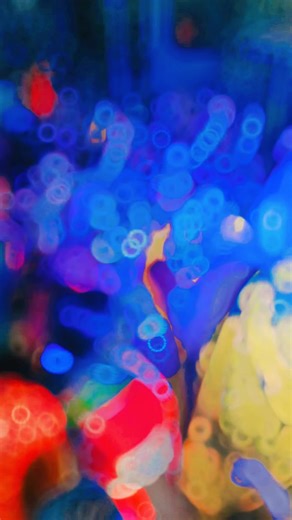 🔥🤟🔥#i_love_dslr_camera #kundanphotography🖤 #photography #foryoupage #dslrlover