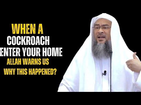 When a Cockroach Enters Your Home, Allah Is Warning You — Don’t Ignore This Sign| Assim al Hakeem