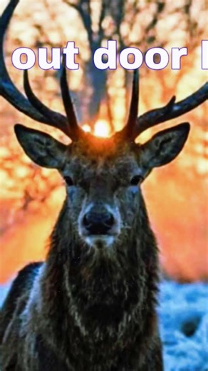 out door kid ‪@outdoorkid-d7y‬