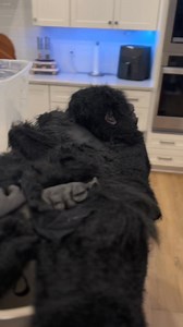 Flora-Bama Tonight. See ya’all there! 🤣 #florabama #orangebeach Gary Cargal Gary Cargal Brandon Giles | Darren Knight