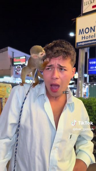 קוף חמוד בבגד ים עושה פיפי על יובה