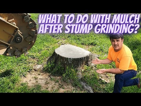 What to do with mulch after stump grinding?