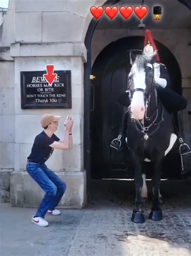 the king guard beautiful moments ❤️#ukarmy #fyp #fypシ #for #viral | kings guard