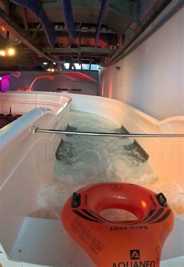 TikTok - Make Your Day