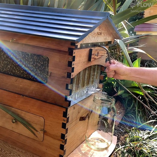 It’s so exciting to learn something new but it can also be a little daunting… If you’ve been thinking about getting started beekeeping but would like to learn more about what’s involved, we’re here to support you every step of the way 🐝 🍯 But be warned – beekeeping is addictive! 😊 💛 Click below to learn more | Flow Hive