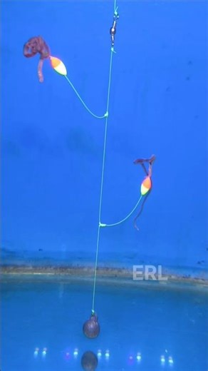 Bottom Fishing Rig Using Floats