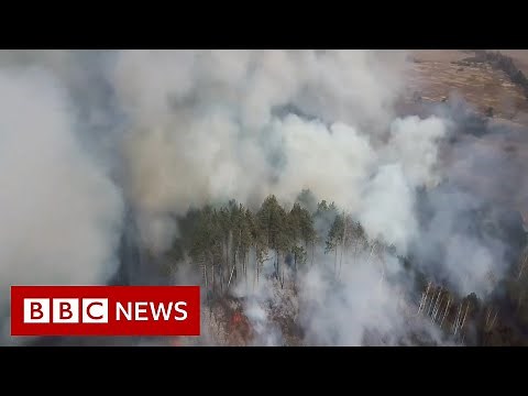 Chernobyl: When fire hits a post-nuclear wilderness - BBC News