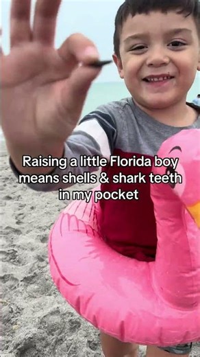 Just a mom constantly finding pieces of the ocean in her laundry. 🐚🦈