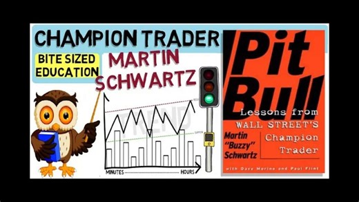 马丁·施瓦茨（Martin_Schwartz）斗牛犬华尔街冠军交易员的教训.