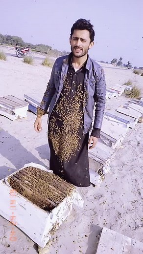 Exploring Beekeeping in a Scenic Outdoor Setting