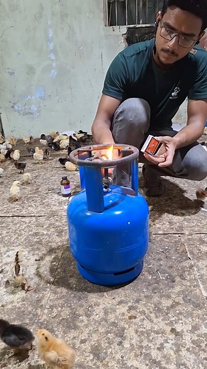 248K views · 1.3K reactions | Desi Chicken Farming Small Scale At Home Day 4 ❤️ . . . #reelsinstagram #minivlog | H Waleed Ahmed | Facebook