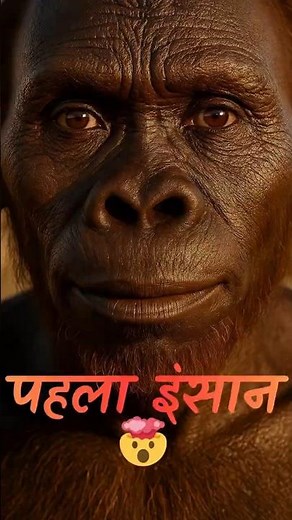 3 Million Years का सफर 🔥 इंसान कैसे बना आज का Modern Human! 🧠