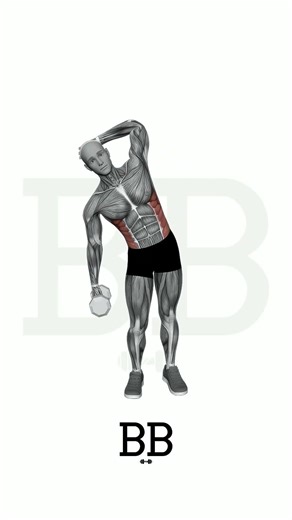 DB Side Bend (CORE): Sculpt Your Obliques & Build a Stronger Midsection! 🛡️💪