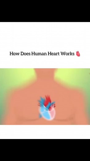 Lab_tecnologist_32 on TikTok