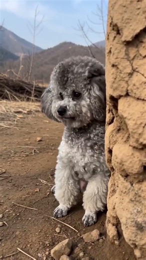 Unleash Your Creativity with AI's Infinite Play TheVolcaMagic