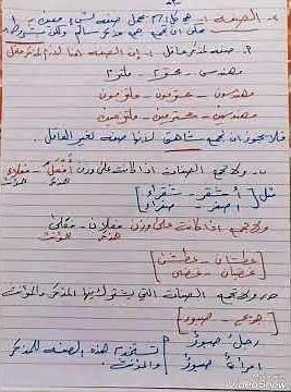 جمع المذكر السالم و الملحق به مع حل التمارين قواعد اللغة العربية للصف الثاني متوسط