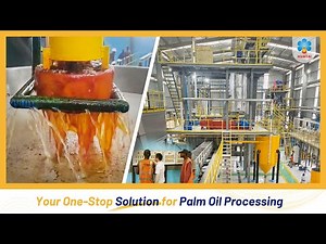 🏭Automated palm fresh fruit bunch (FFB) processing line - Palm oil mill - How is palm oil made?