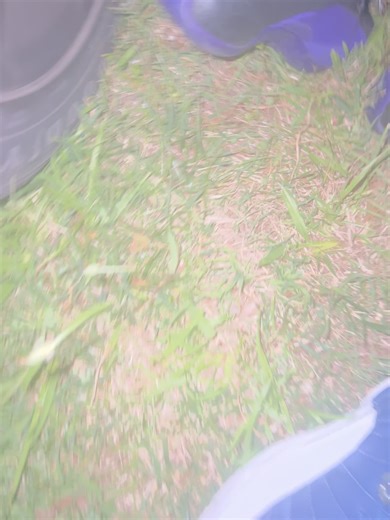 First Shoot of a Fun Pool Party Video