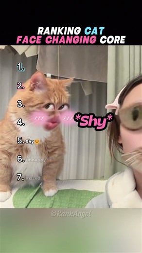 Ranking "CAT FACE CHANGING" Core Moments 😹