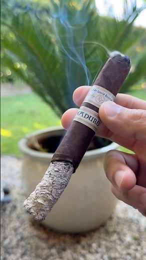 Rocky Patel Olde World Reserve Maduro Toro | ASMR Cut & Light