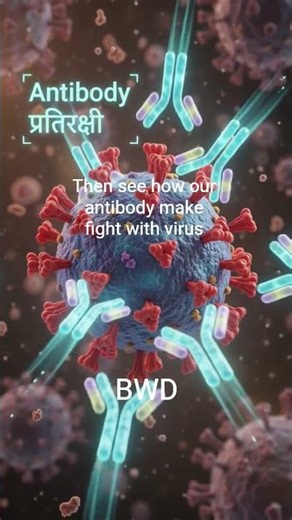 how ❓the antibody fight #3danimation #class12biology #biology