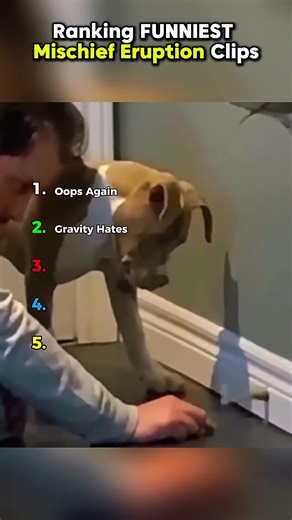 Ranking FUNNIEST Mischief Eruption Clips P.9 || #shorts #ranking #rankingshort #funnyshorts