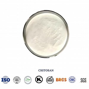 [Hot Item] Chitosan for Natural Preservative and Edible Coating