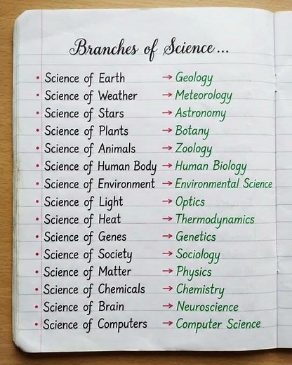Do You Know These 15 Branches of Science? 🔬