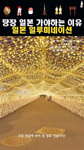 한국인 적은 일루미네이션 일본인 핫플